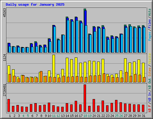 Daily usage for January 2025
