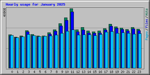 Hourly usage for January 2025