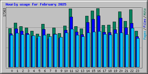 Hourly usage for February 2025