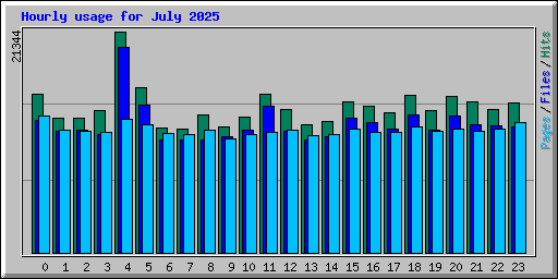 Hourly usage for July 2025