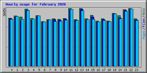 Hourly usage for February 2026